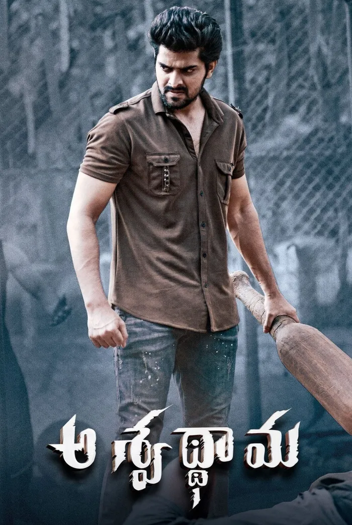 అశ్వథామ (2020) poster