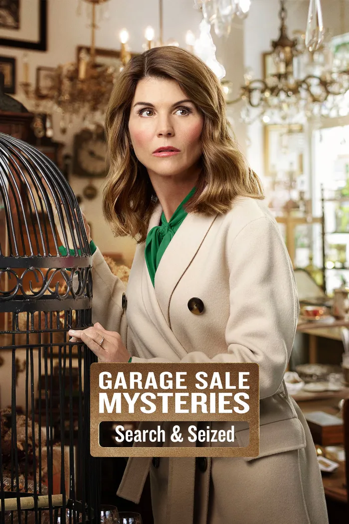 Garage Sale Mysteries: Searched & Seized (2020) poster