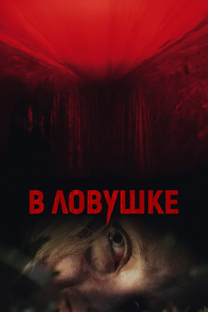 В ловушке (2020) poster