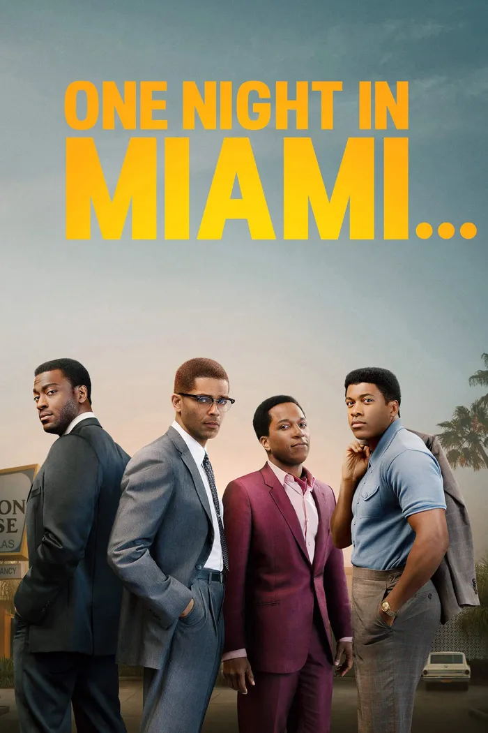 Одна ночь в Майами (2020) poster