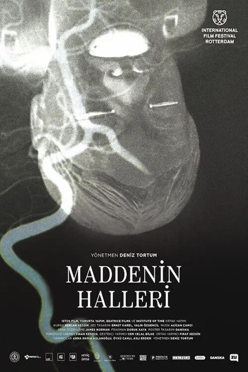 Maddenin Halleri (2020) poster