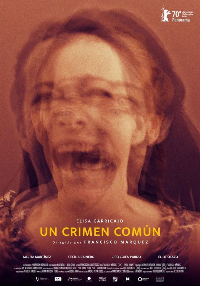 Un crimen común (2020) poster