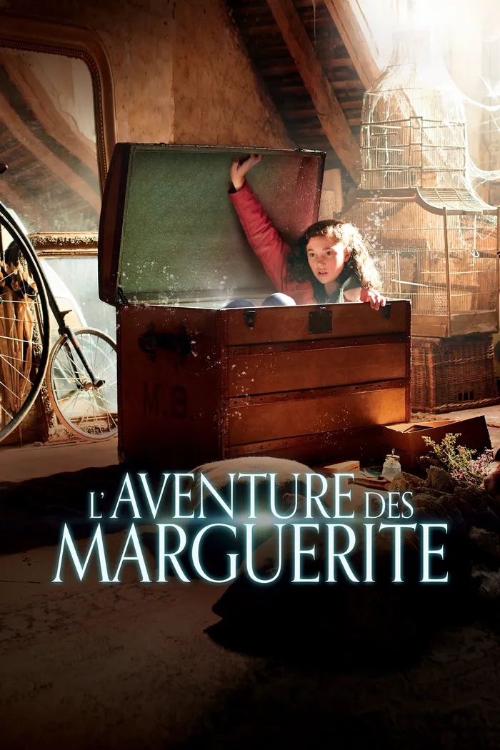 L'Aventure des Marguerite (2020) poster