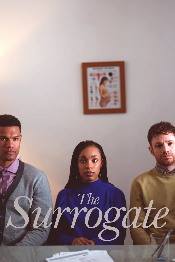 The Surrogate (2020) poster