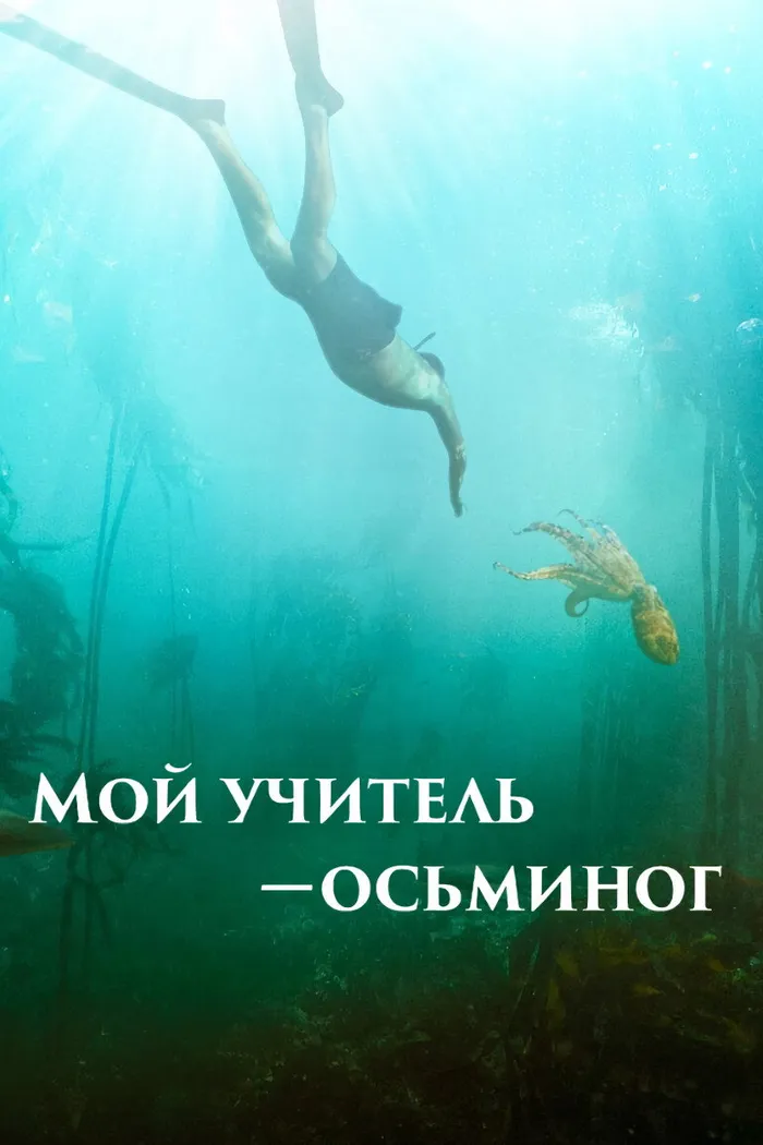 Мой учитель – осьминог (2020) poster