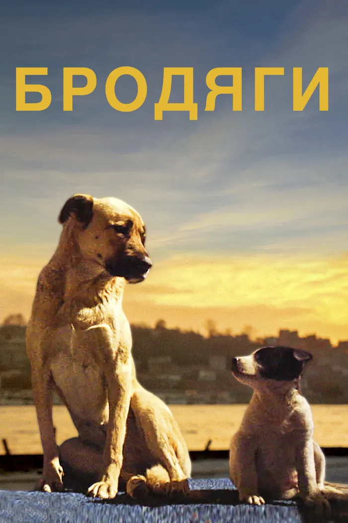 Stray (2020)
