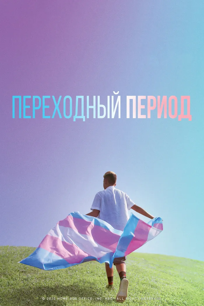 Переходный период (2020) poster
