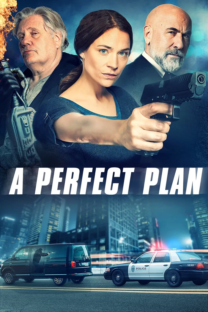 Идеальный план (2020) poster