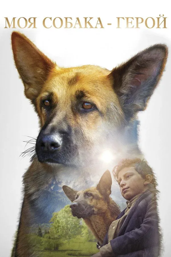 Моя собака — герой (2019) poster