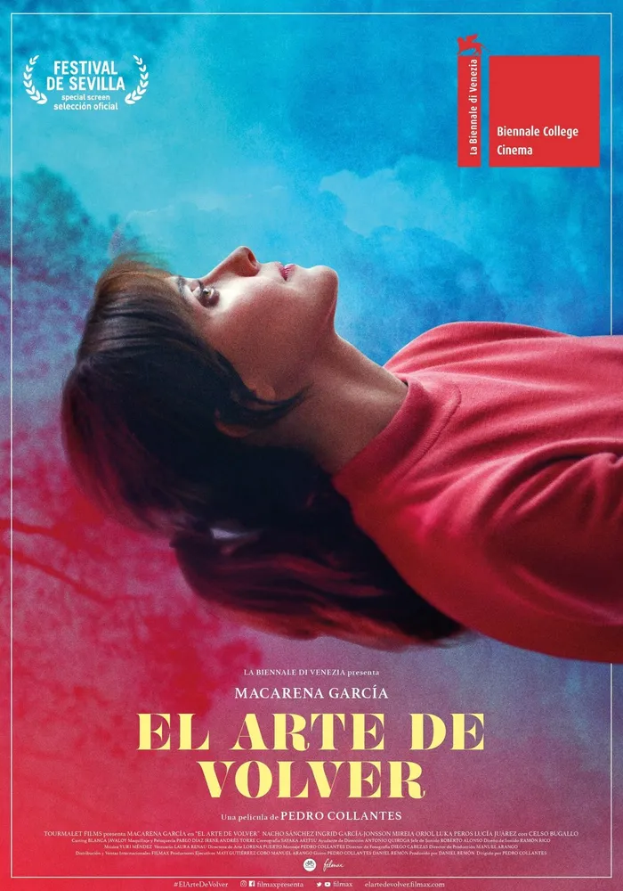 El arte de volver (2020) poster