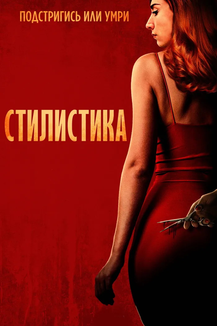 Стилист (2020) poster