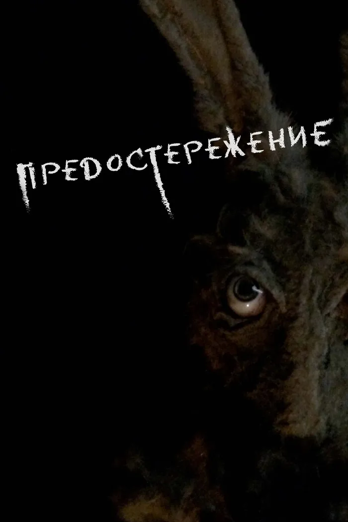 Предостережение (2020) poster