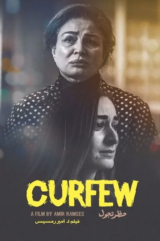 حظر تجول (2020) poster