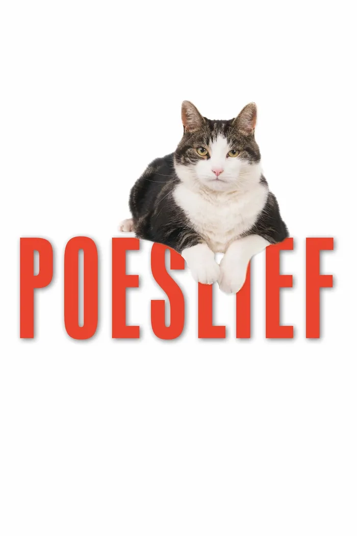 Да здравствуют кошки! (2020) poster