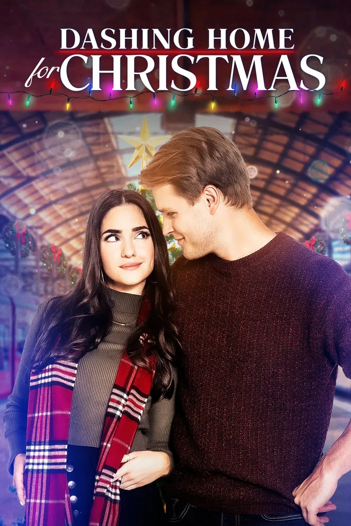 Успеть домой на Рождество (2020) poster
