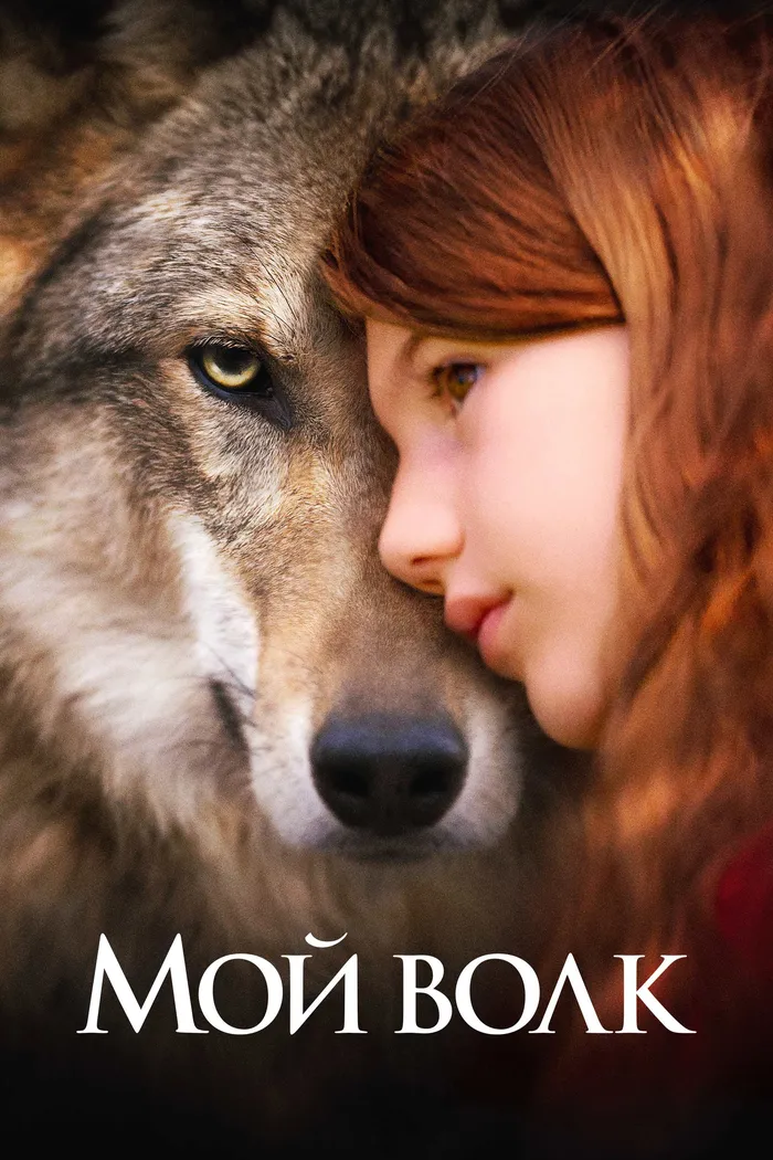 Мой волк (2021) poster