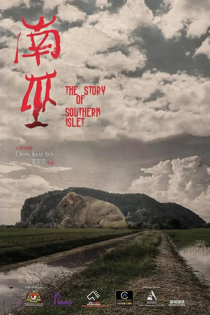南巫 (2020) poster