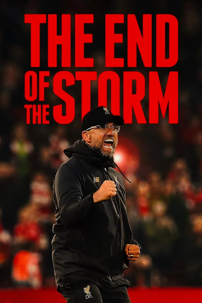 The End of the Storm (2020) poster