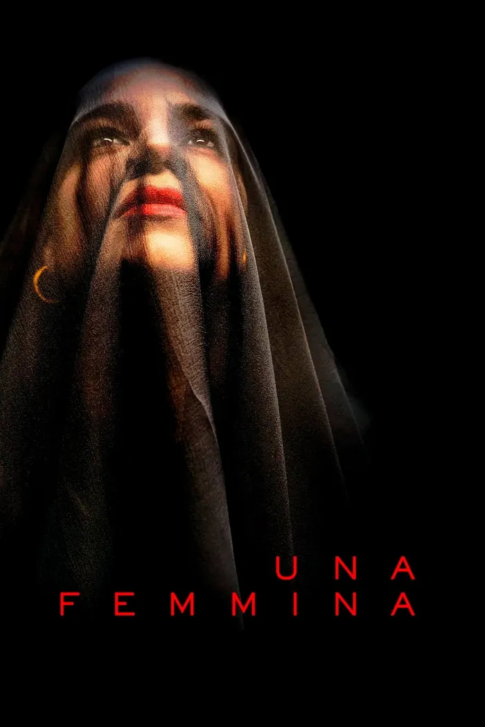 Женщина – Кодекс молчания (2022) poster
