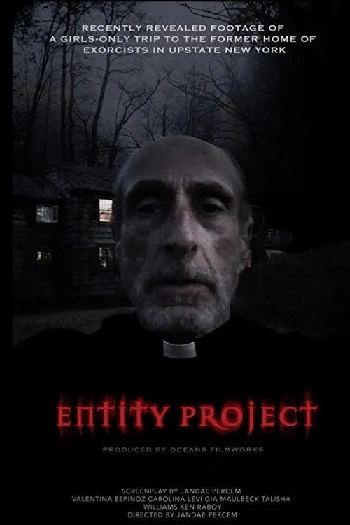 Entity Project (2019) poster