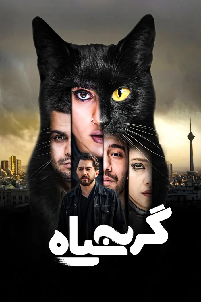 گربه سیاه (2020) poster