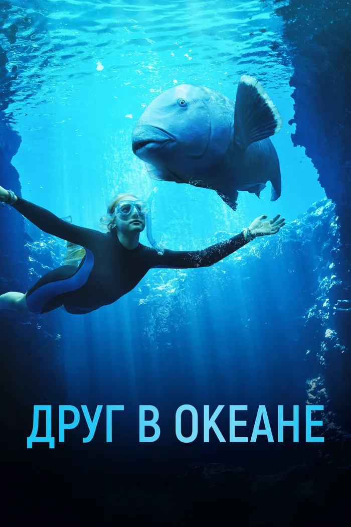 Друг в океане (2022) poster