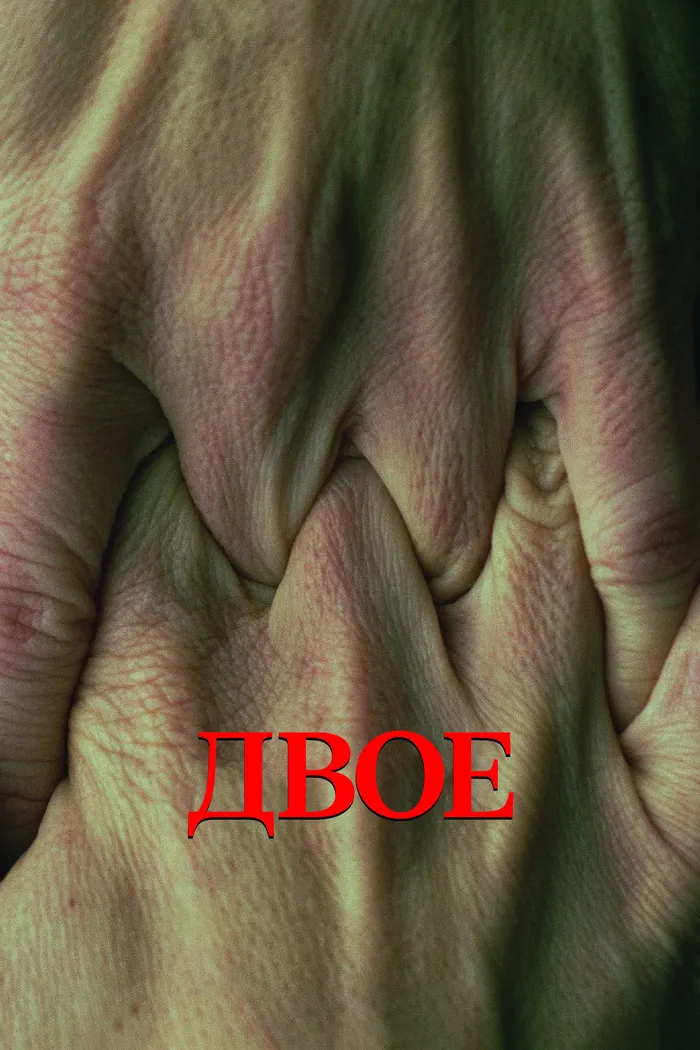 Двое (2021) poster