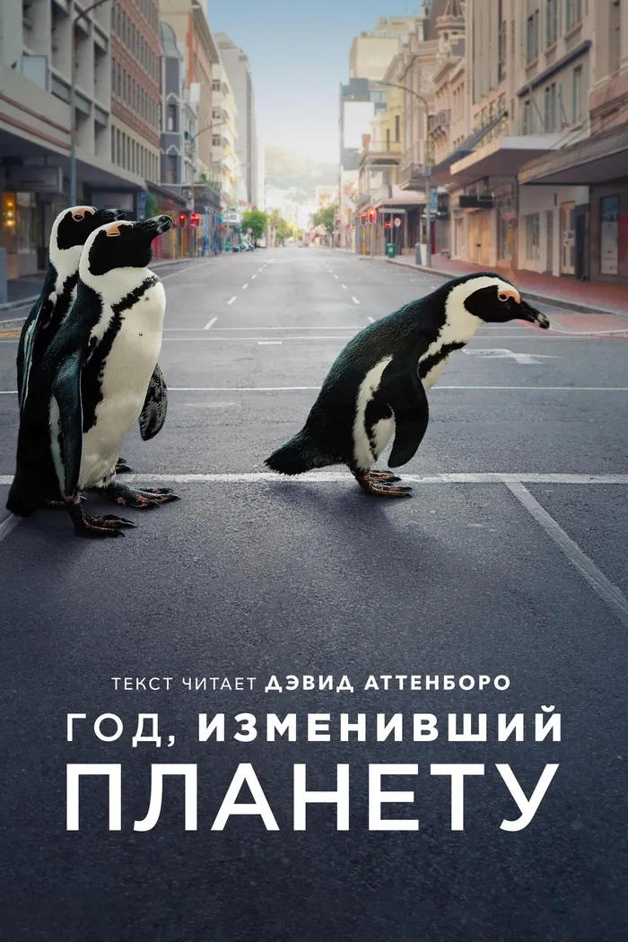 Год, изменивший планету (2021) poster