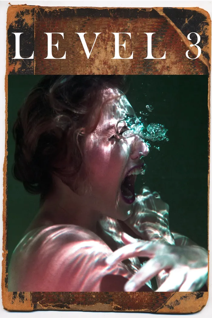 Level 3 (2020) poster