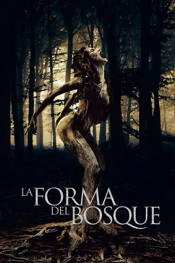 Форма леса (2021) poster