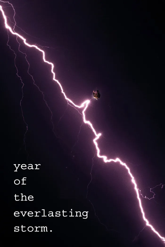 Год вечной бури (2021) poster
