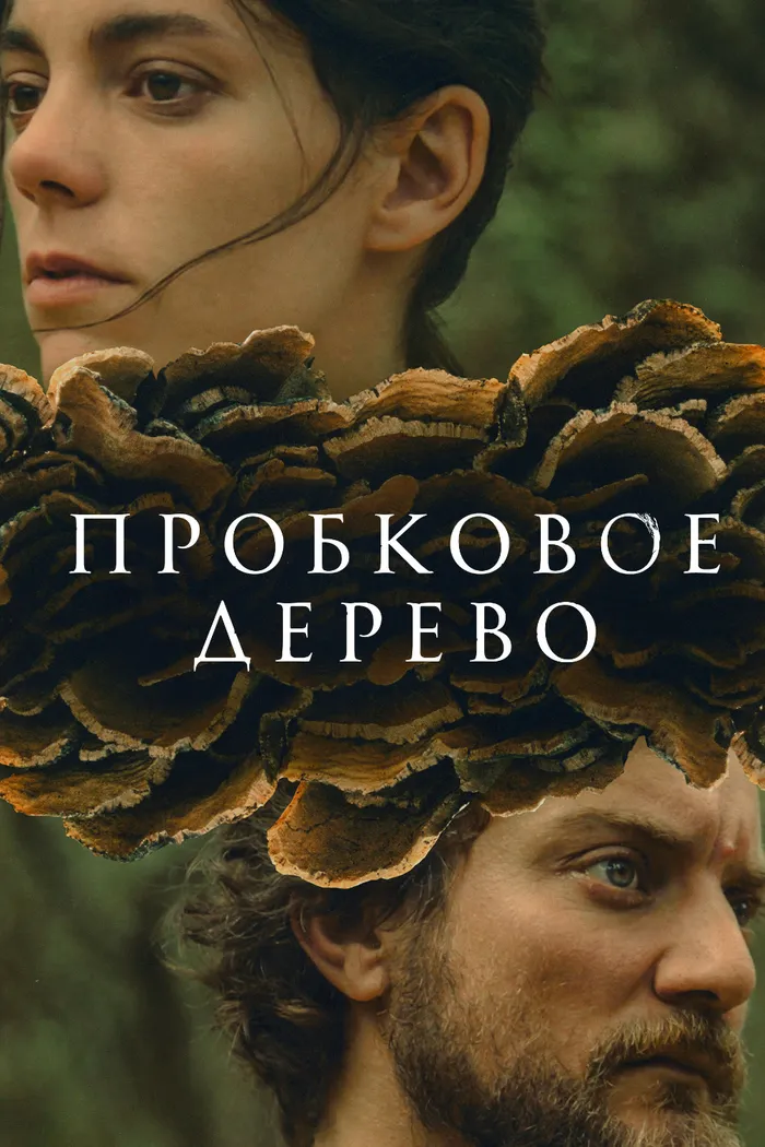 Пробковое дерево (2022) poster