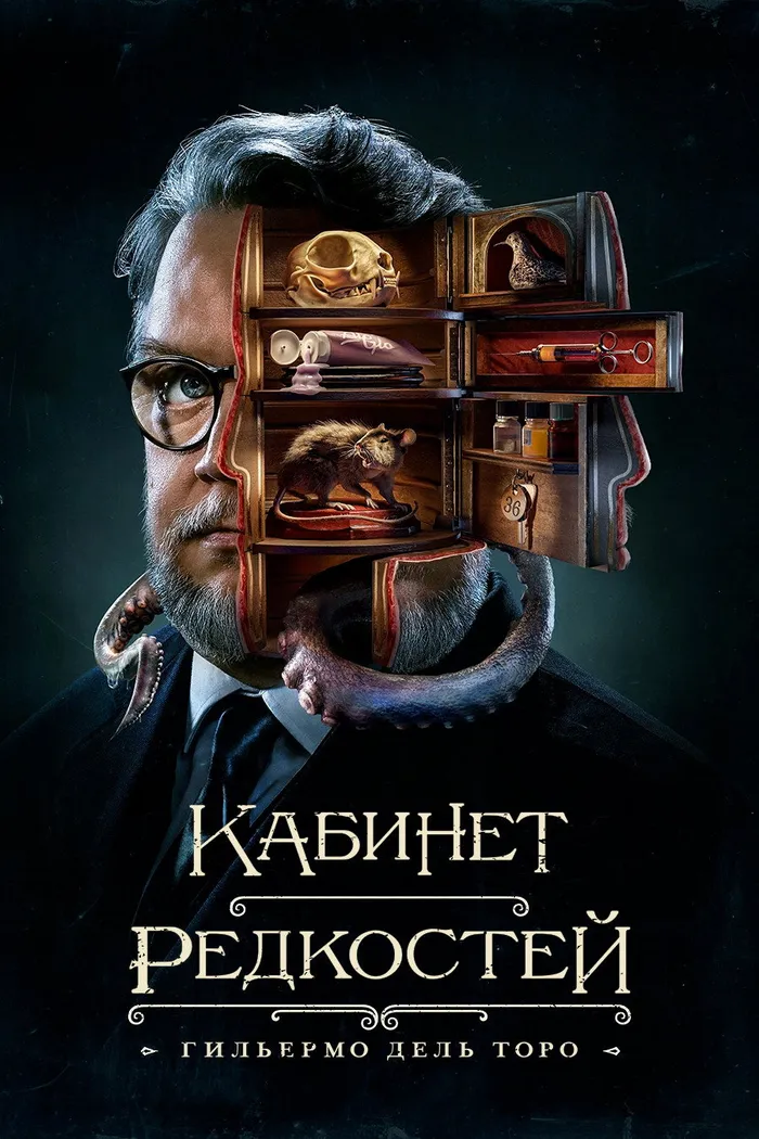 Кабинет редкостей Гильермо дель Торо (2022) poster