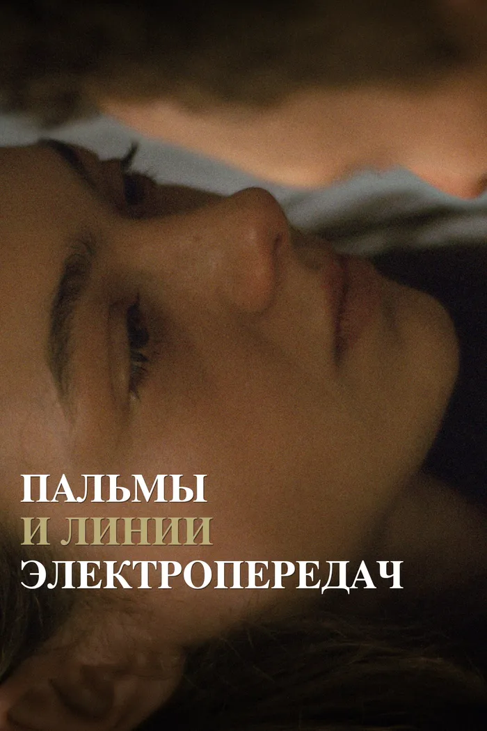 Пальмы и линии электропередач (2022) poster