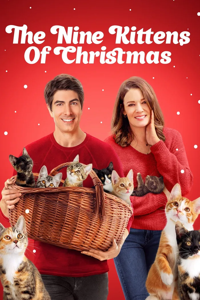 Девять котят в подарок (2021) poster
