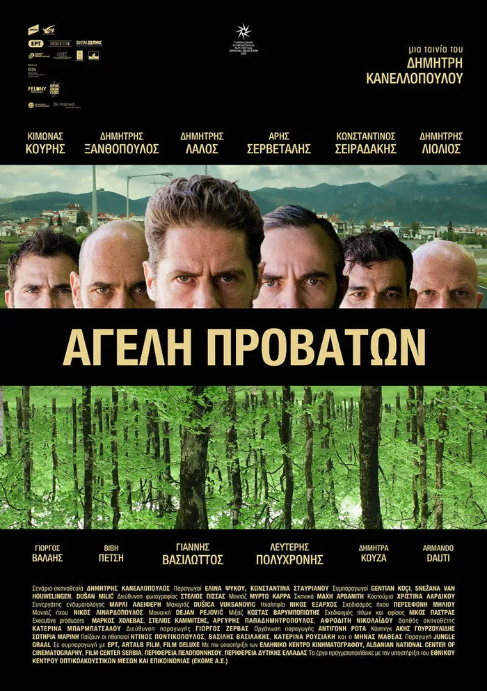 Овечья стая (2021) poster