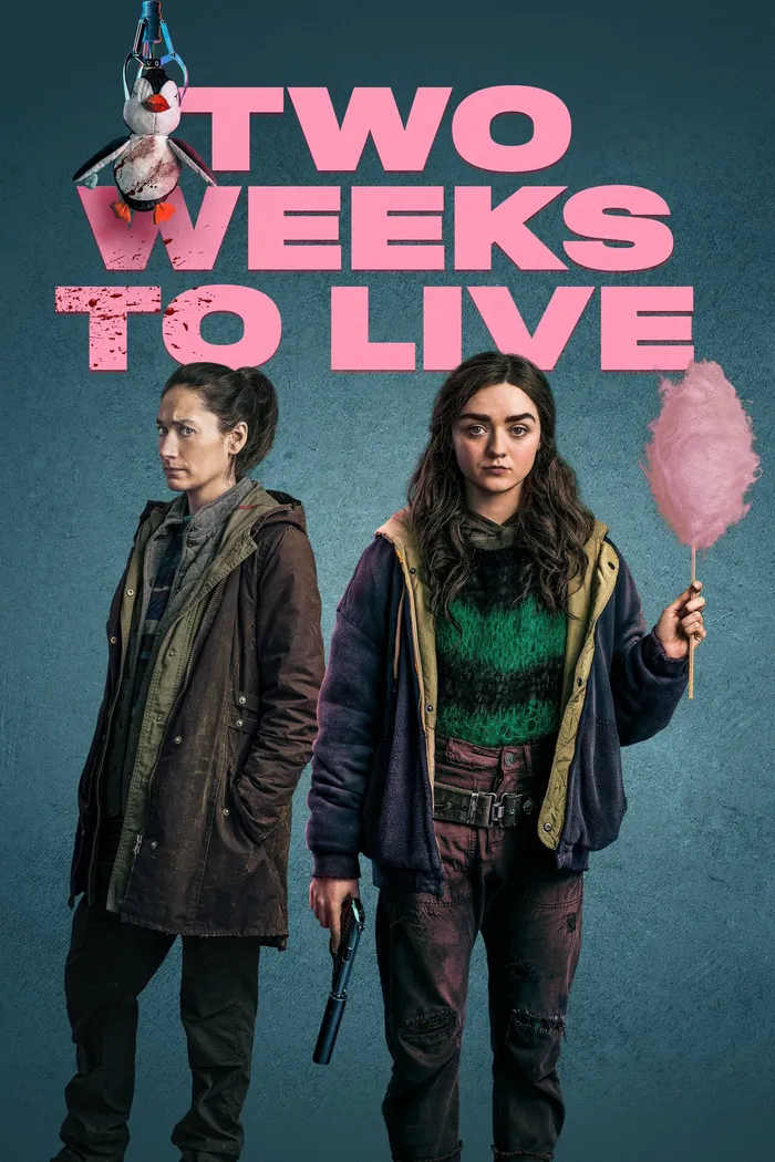 Успеть за две недели (2020) poster