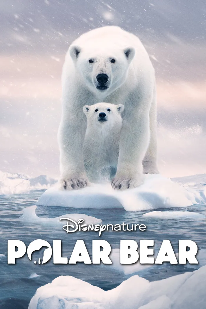 Полярный медведь (2022) poster