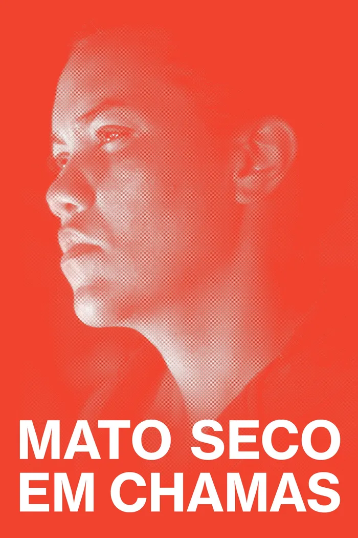 Mato Seco em Chamas (2022) poster