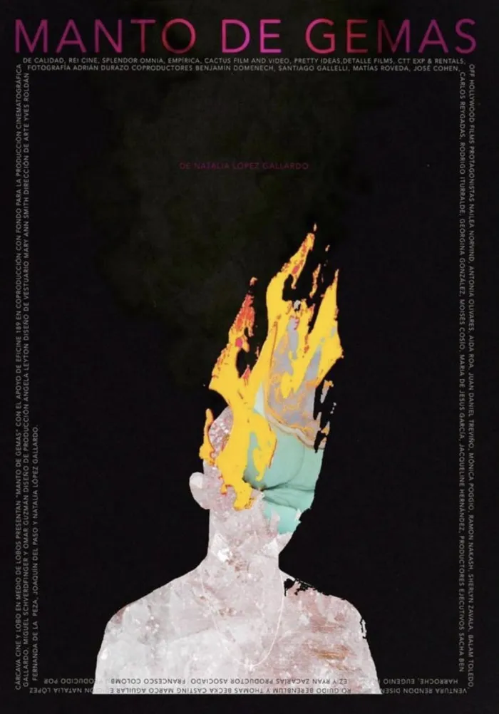 Одеяние из драгоценных камней (2022) poster