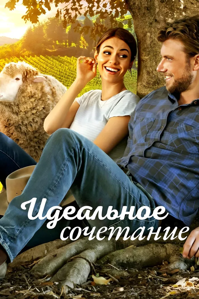 Идеальное сочетание (2022) poster