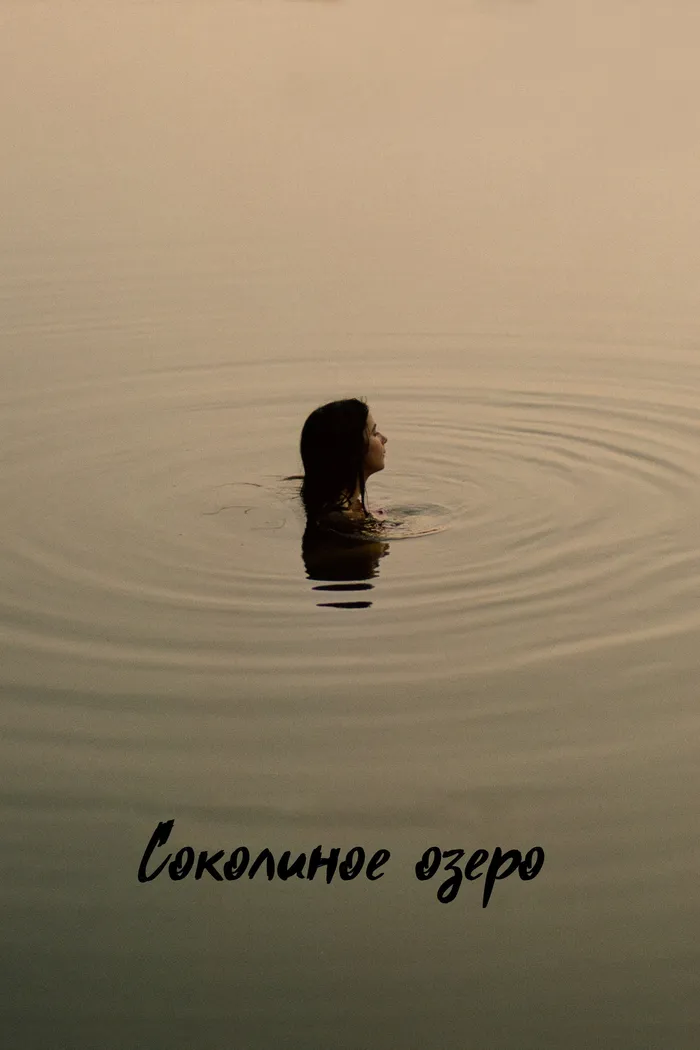 Соколиное озеро (2022) poster
