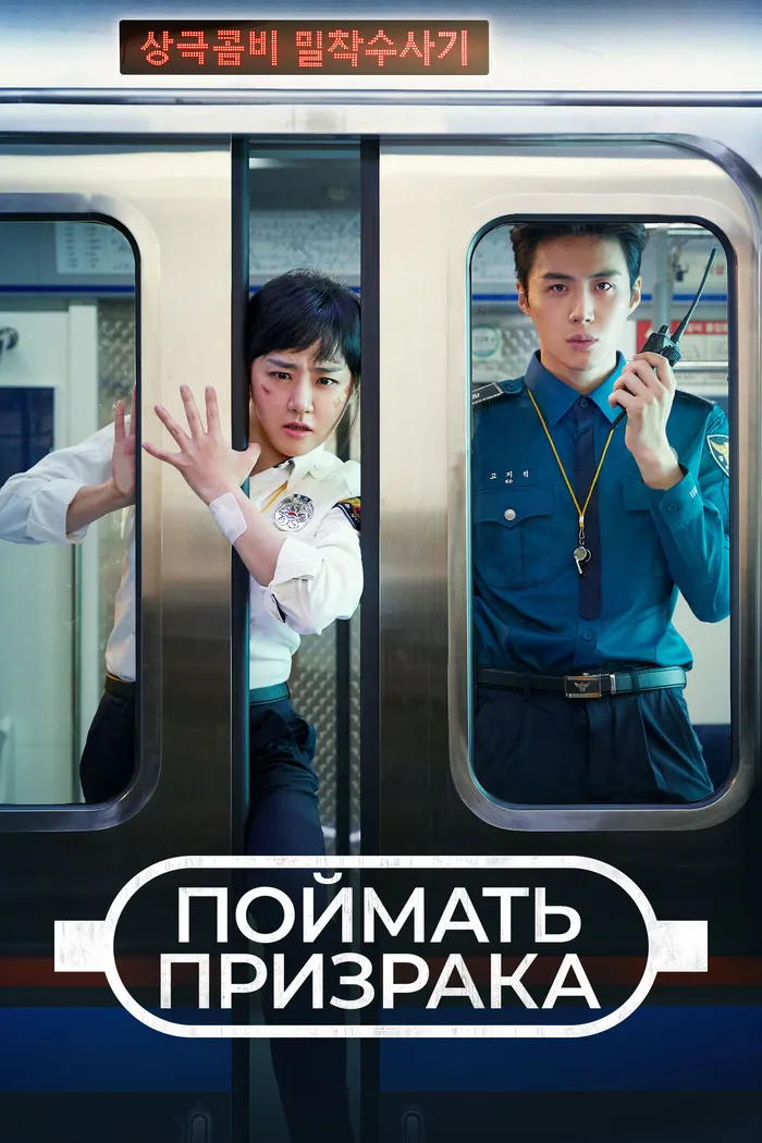 Поймать призрака (2019)
