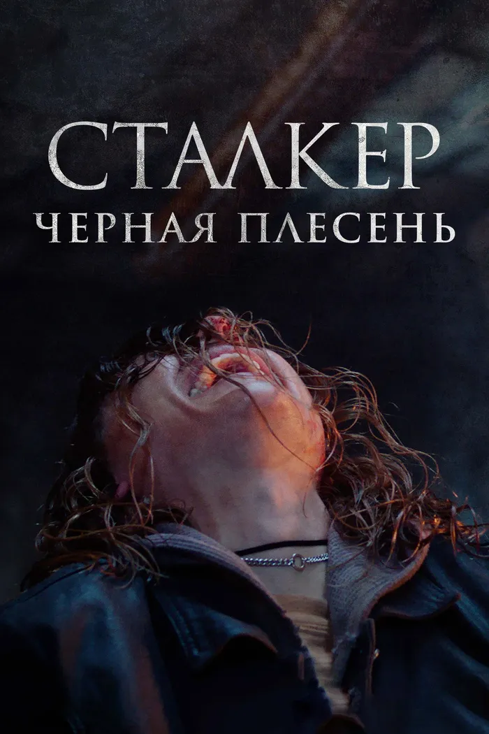 Сталкер. Черная плесень (2023) poster