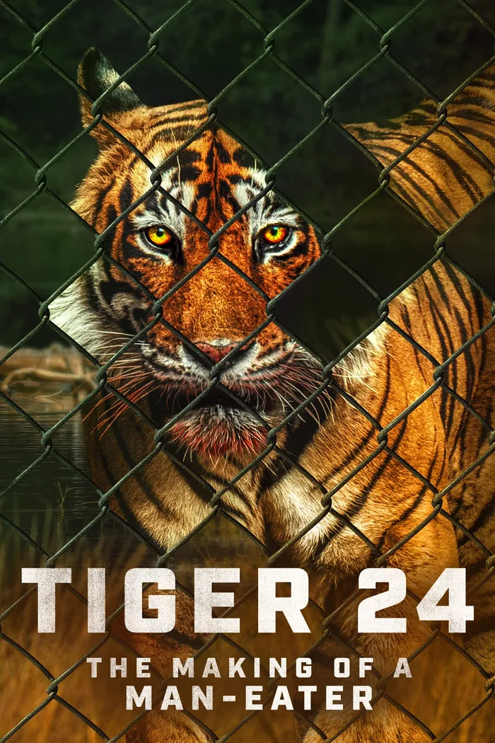 Tiger 24 (2022) poster