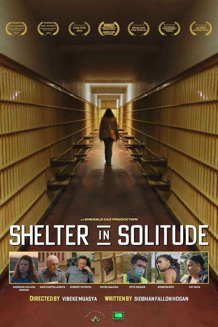 Shelter in Solitude (2023) poster