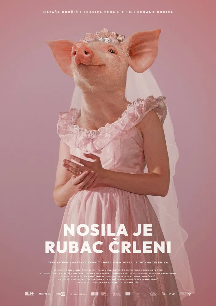 Даже свиньи попадают в рай (2022) poster