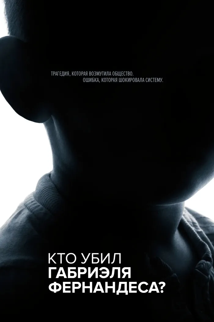 Кто убил Габриэля Фернандеса? (2020) poster