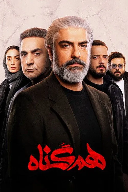 هم‌گناه (2020) poster
