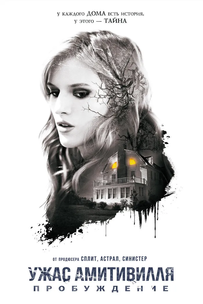 Ужас Амитивилля: Пробуждение (2017) poster